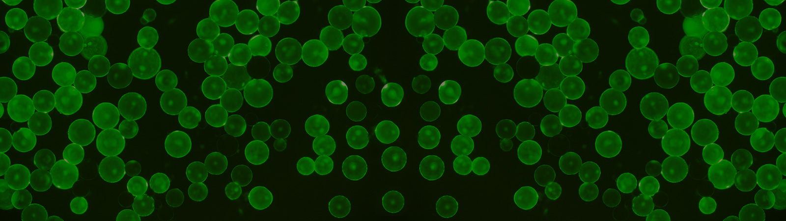 slider-V2-img3